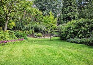 Optimiser l'expérience du jardin à Channay-sur-Lathan